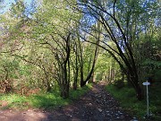 17 Strada sterrata in piano